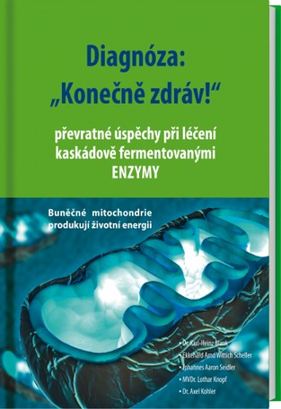 Kniha - Diagnóza: Konečně zdráv